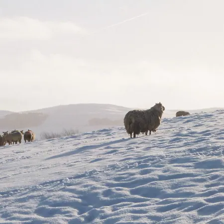 Herriots House Semesterbostad *