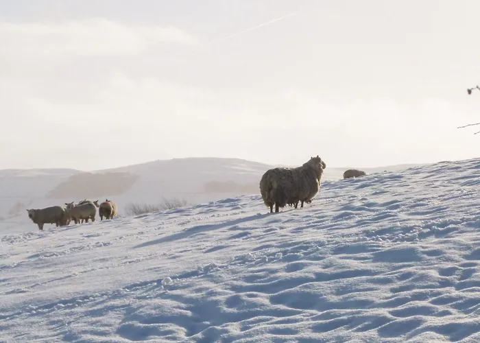 Herriots House Holiday home *